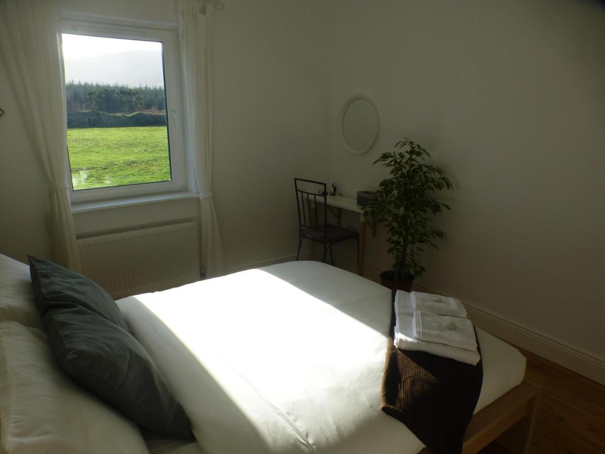 Seagull Cottage B&B Portmagee Ngoại thất bức ảnh